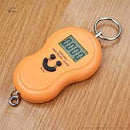 Balança Portátil Digital Mão Gancho Até 50 Kg